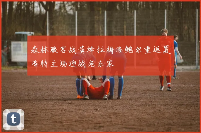 森林狼客战黄蜂拉梅洛鲍尔重返夏洛特主场迎战老东家