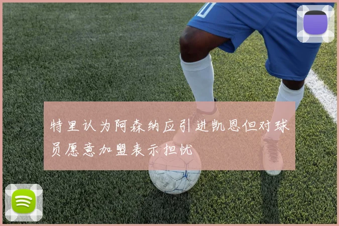 特里认为阿森纳应引进凯恩但对球员愿意加盟表示担忧
